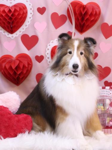 20240214サニーくん